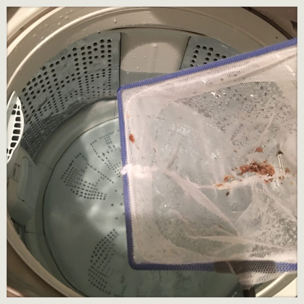 ダイソー粉末洗濯槽クリーナー使用画像