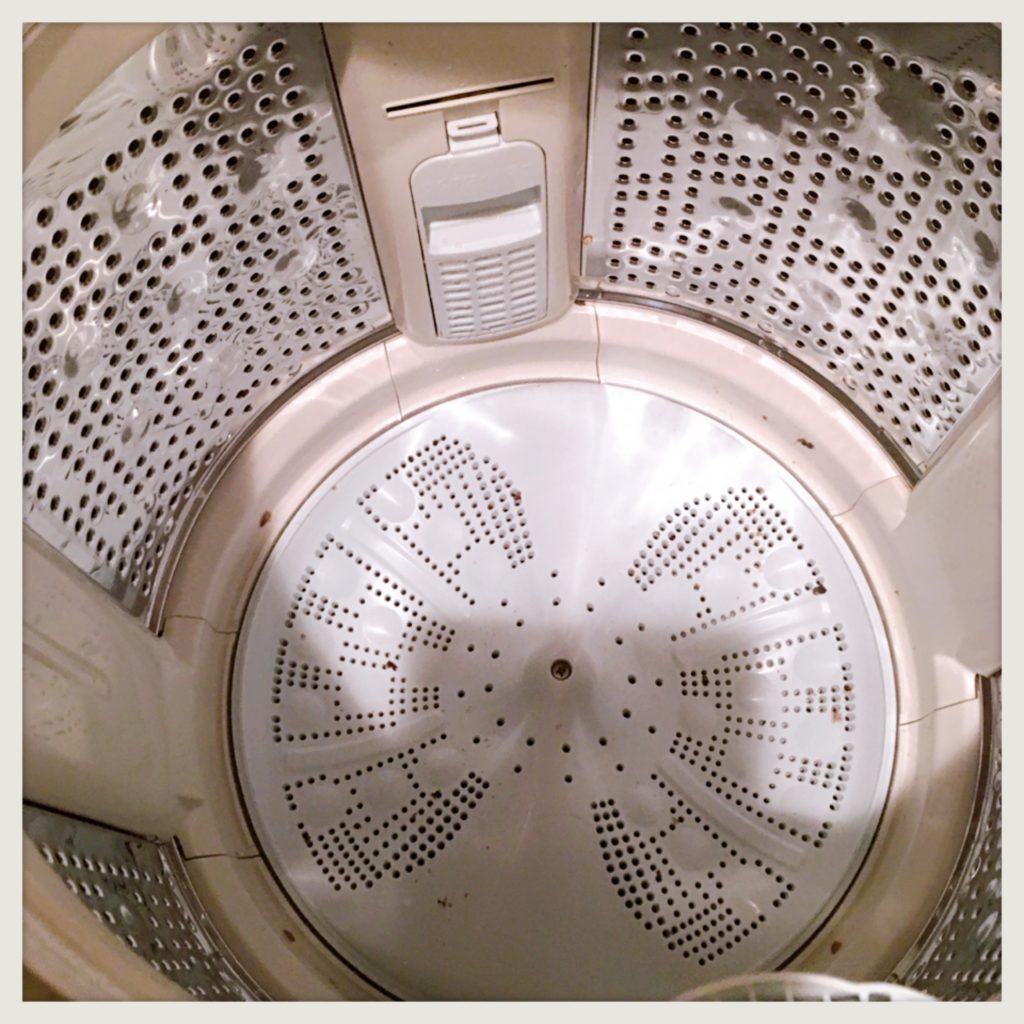 ダイソー粉末洗濯槽クリーナー使用画像