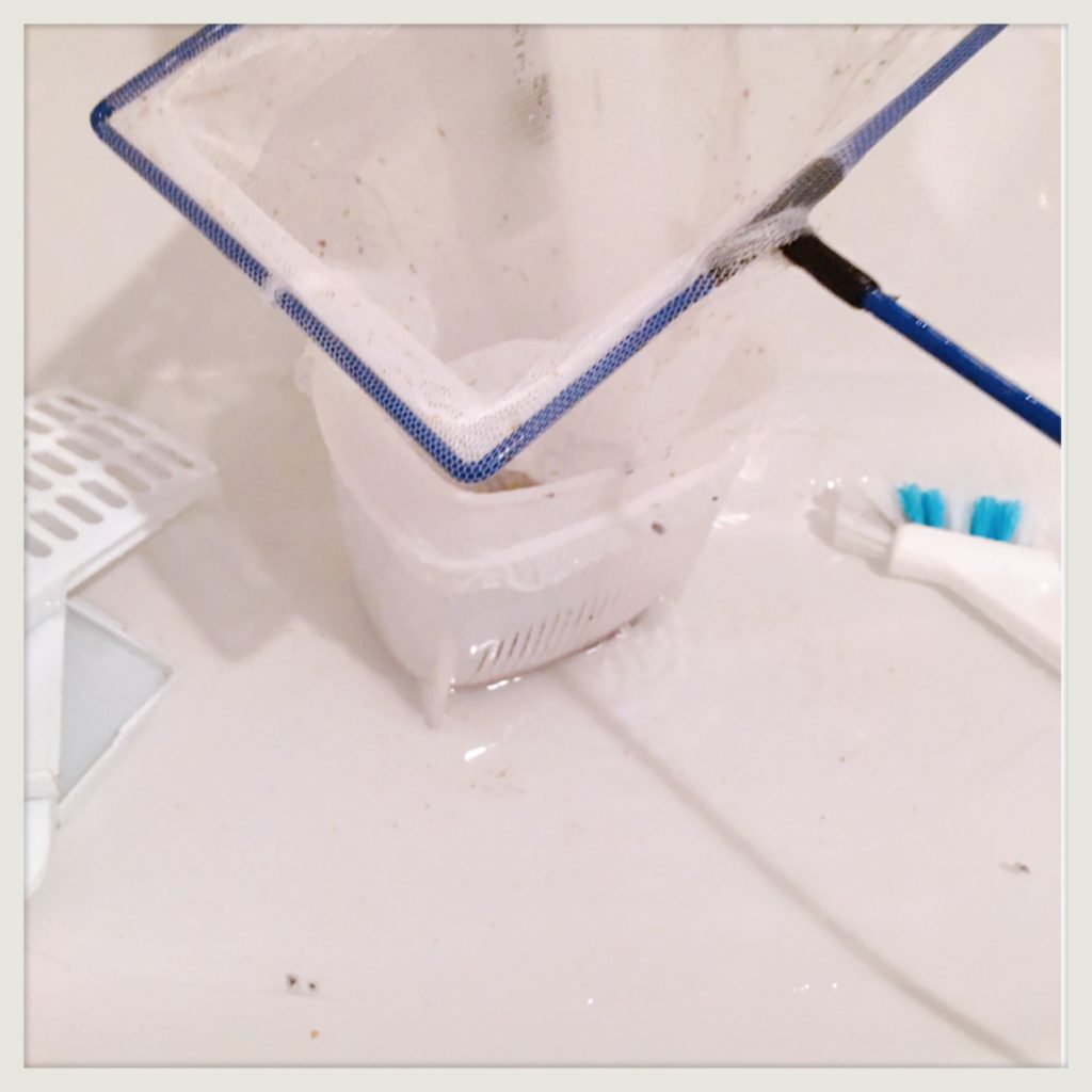 ダイソー粉末洗濯槽クリーナー使用画像