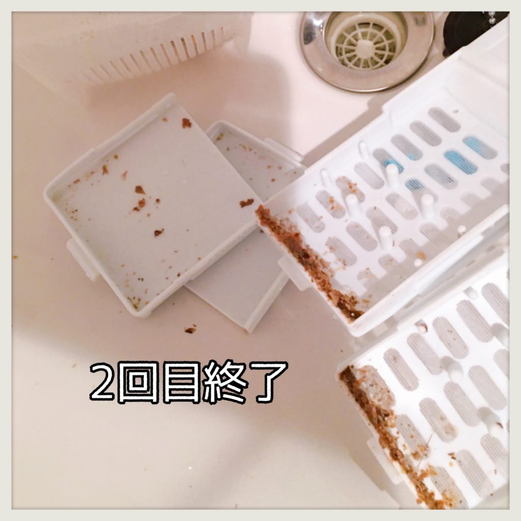 ダイソー粉末洗濯槽クリーナー使用画像