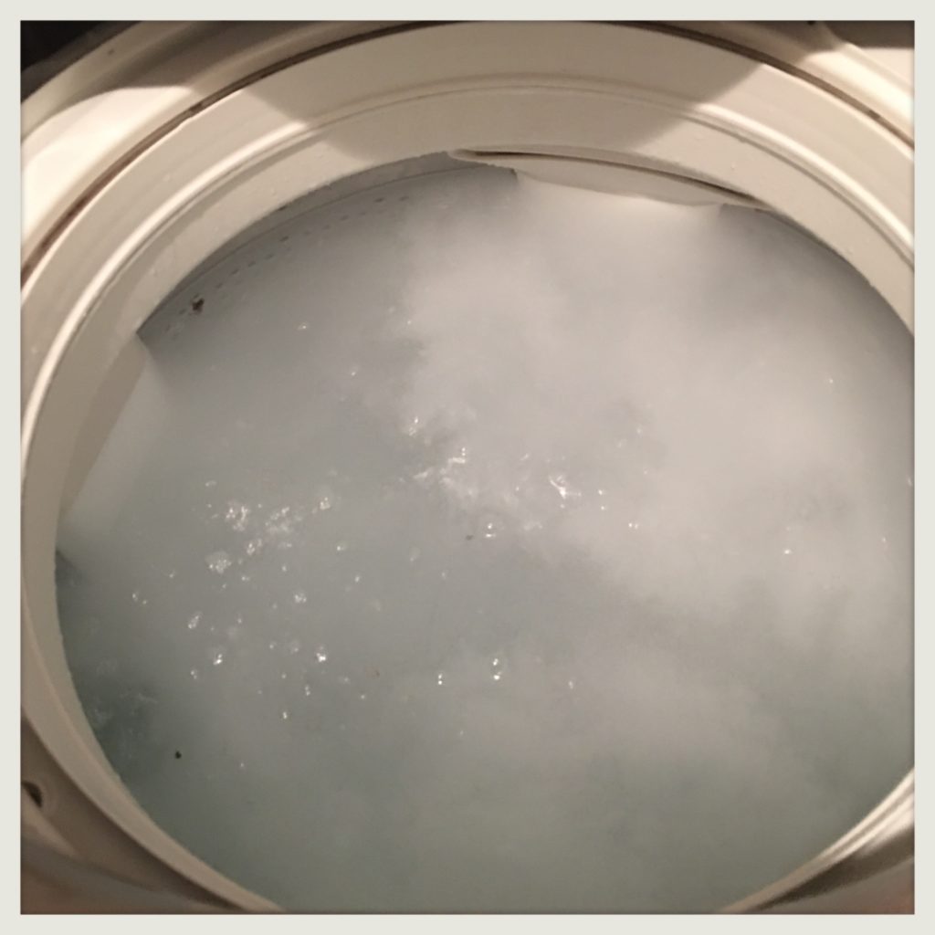 ダイソー粉末洗濯槽クリーナー使用画像