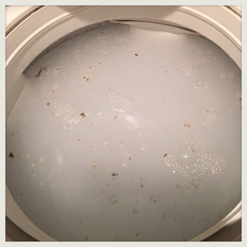 ダイソー粉末洗濯槽クリーナー使用画像