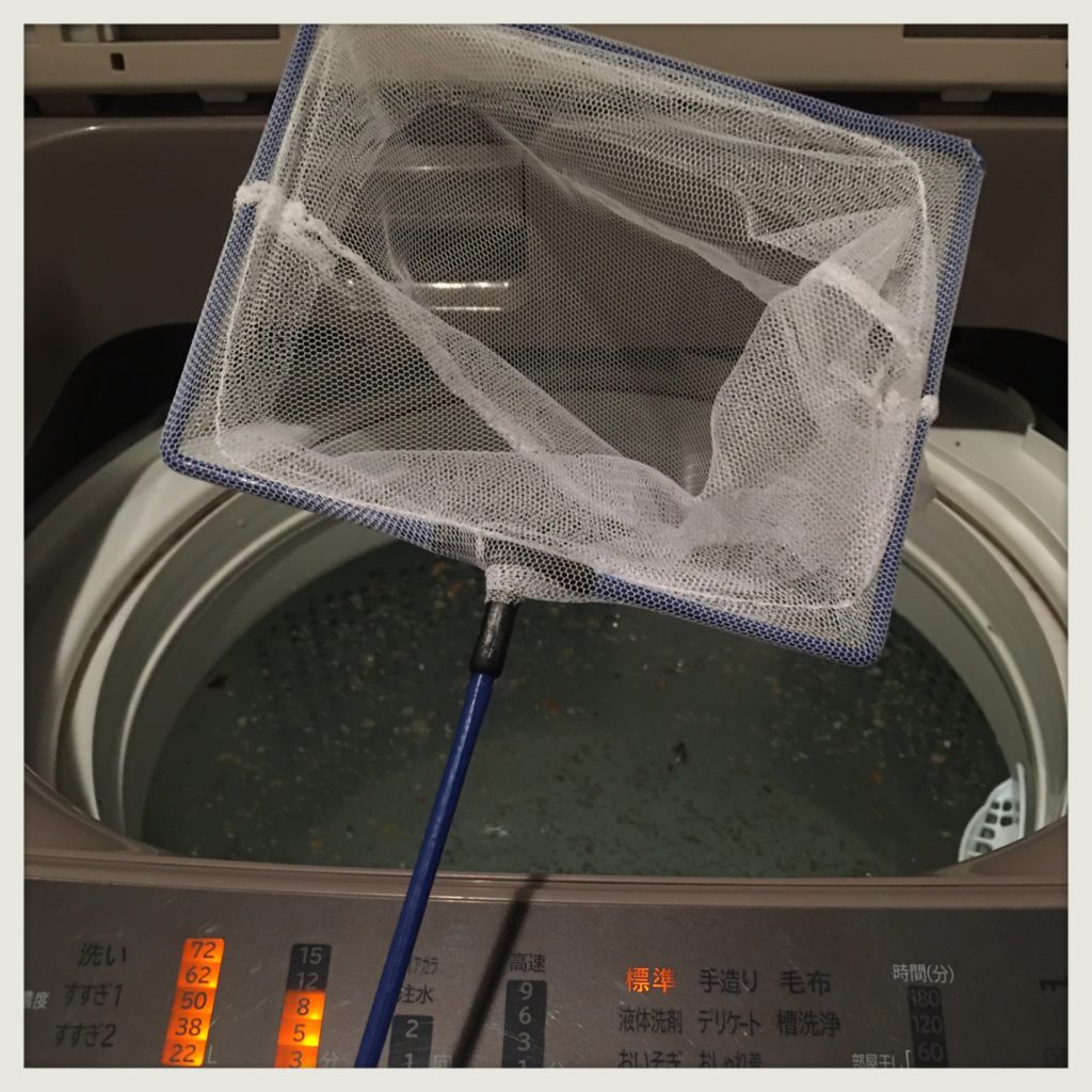 ダイソー粉末洗濯槽クリーナー使用画像