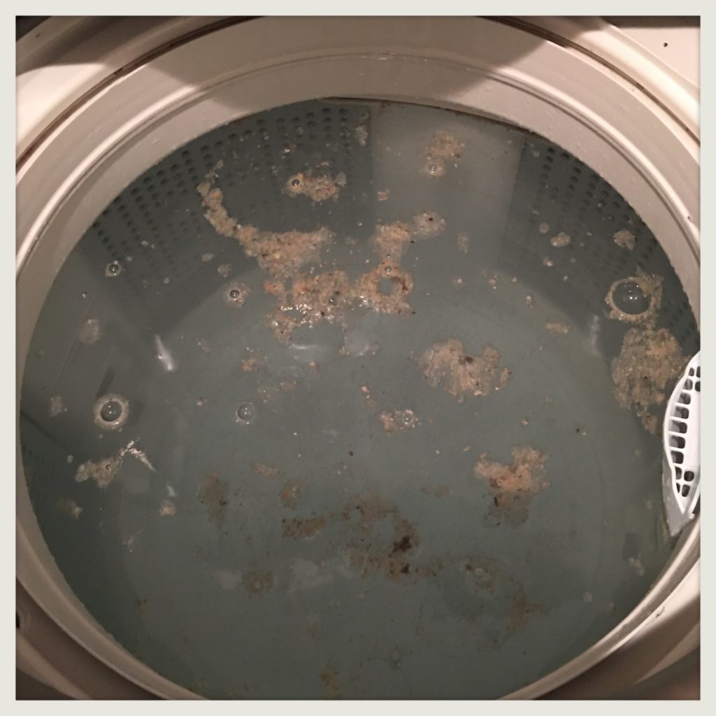 ダイソー粉末洗濯槽クリーナー使用画像